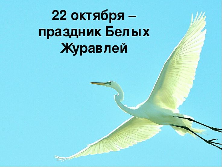 С 21 по 23 октября проходила Региональная акция, посвященная Дню белых журавлей..